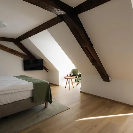 Maison Kounic Palace Apartmán Slavkov u Brna